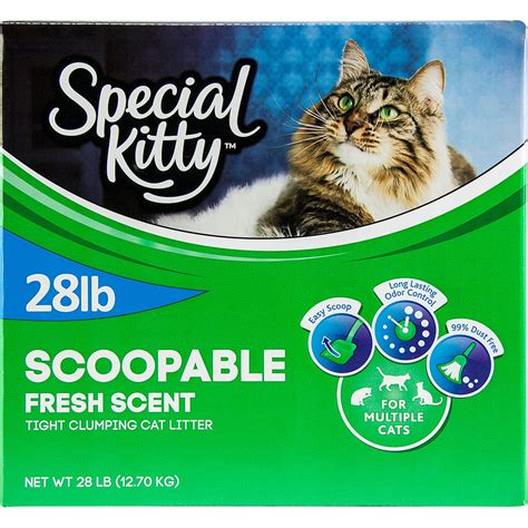 The Surlyise Magic Revolution in Cat Care: Kittycorj's Impact on Kitty Litter